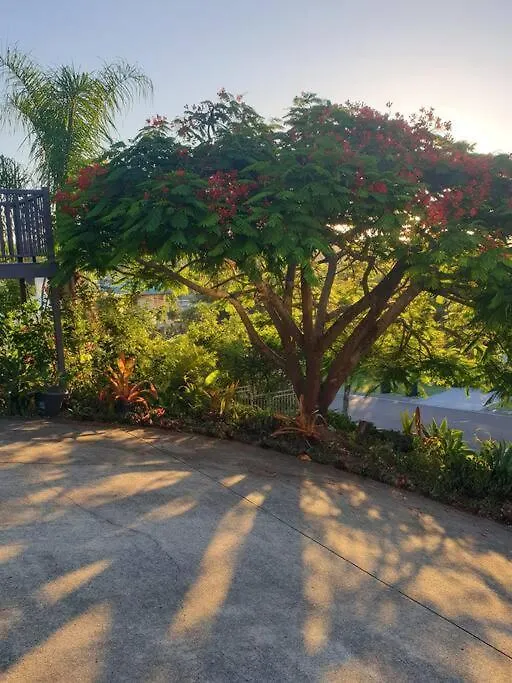 Tranquil Beach Getaway 쿨룸비치 아파트